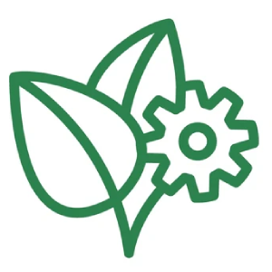 SOPHISTICATED AND TRANSPARENT